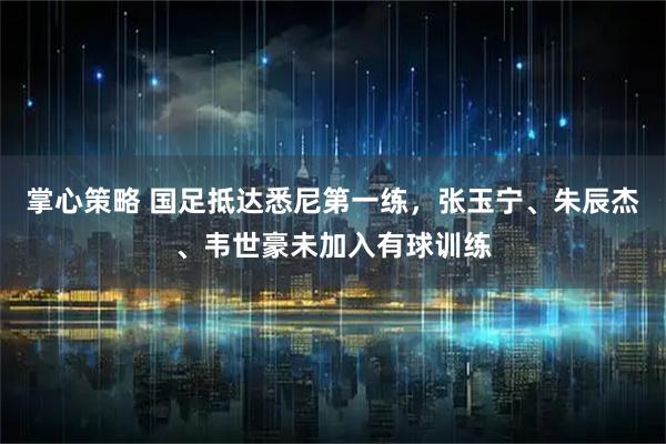 掌心策略 国足抵达悉尼第一练，张玉宁、朱辰杰、韦世豪未加入有球训练