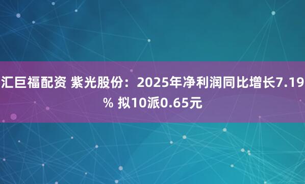 汇巨福配资 紫光股份：2025年净利润同比增长7.19% 拟10派0.65元